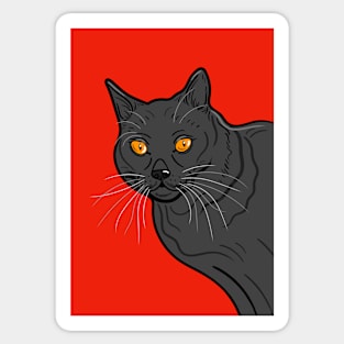 Black Cat Portrait ( Red Background ) Sticker